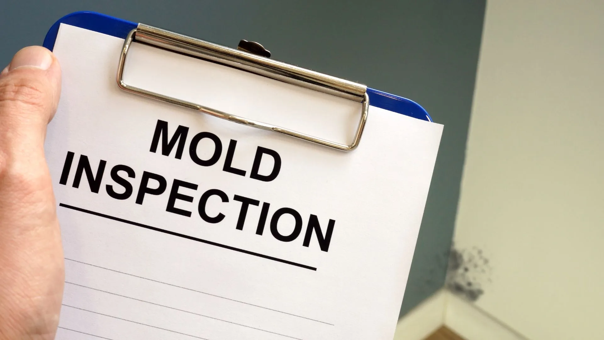 How Climate and Weather Affect Your Mold Risk