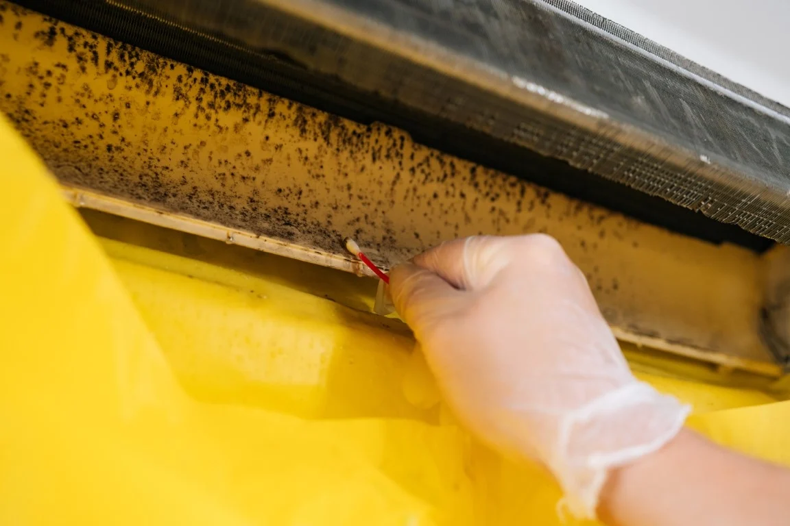 Mold in Your HVAC System: What Homeowners Need to Know