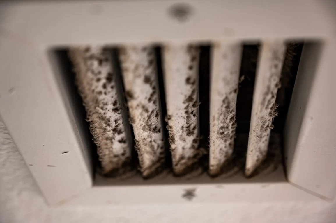 Mold in Your HVAC System