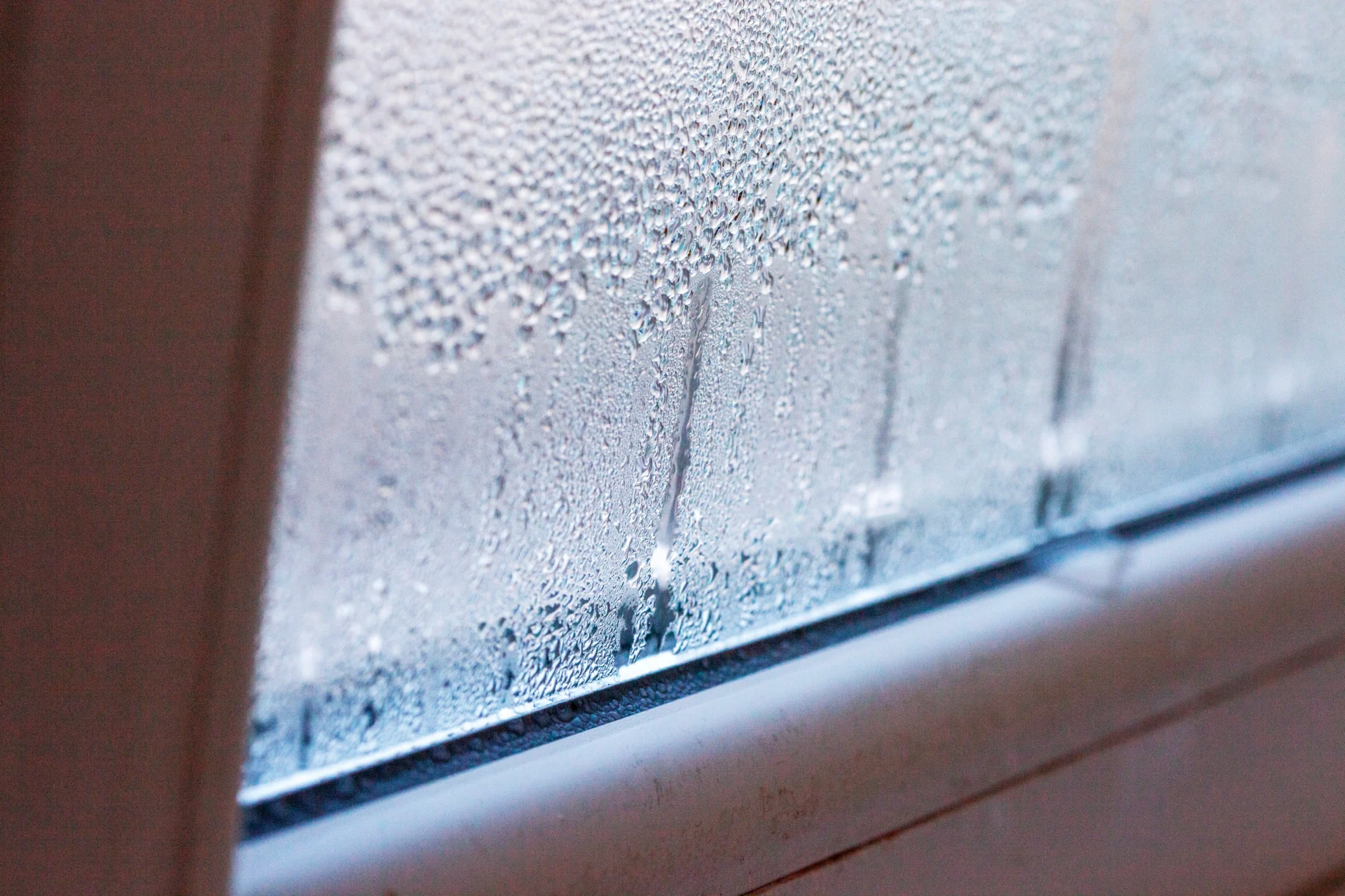 How Summer Humidity Can Lead to Mold Growth